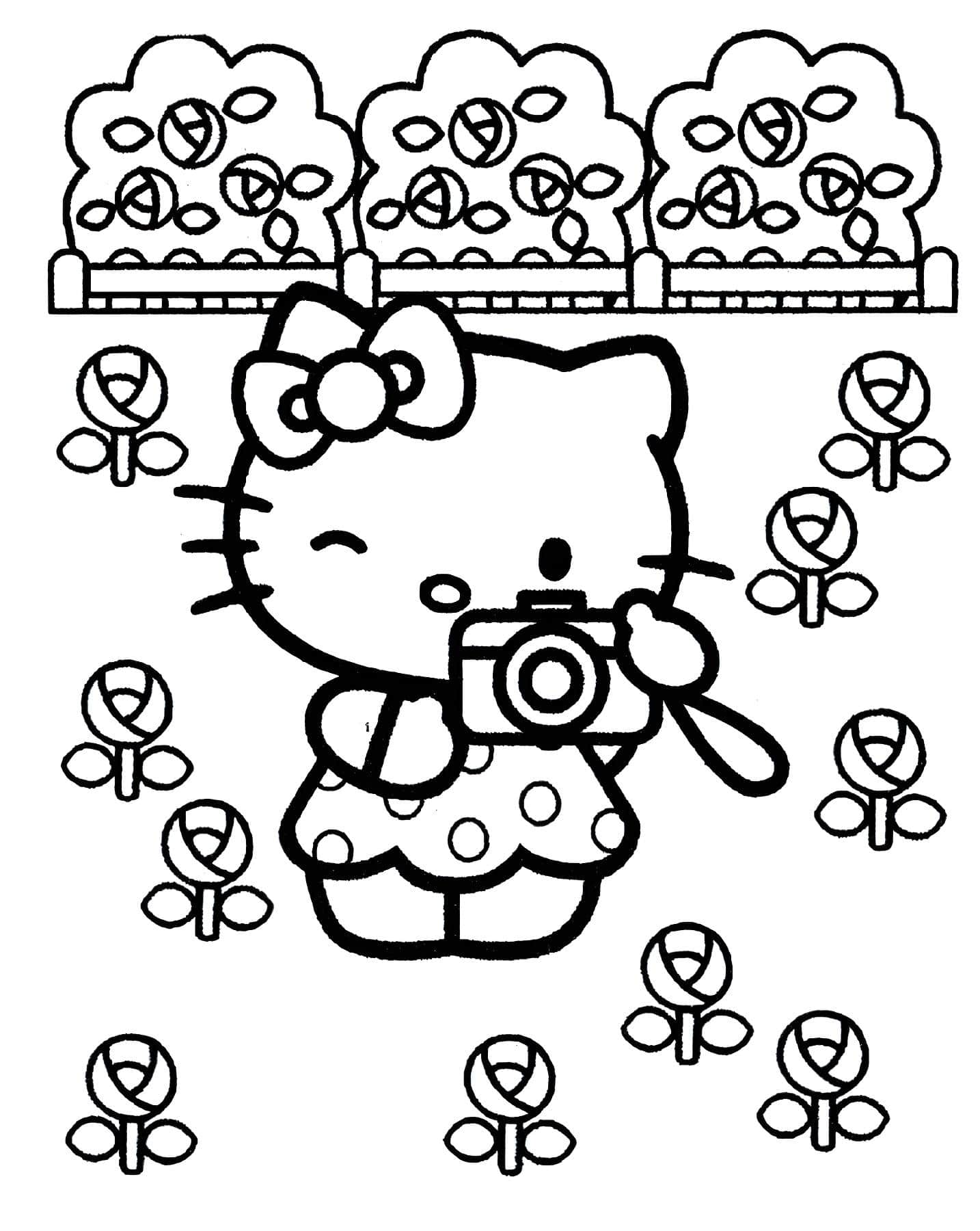 Imagen de hello kitty tomando fotografías para colorear